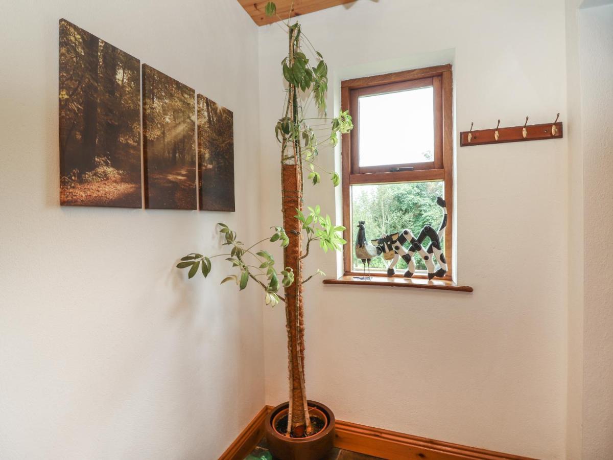 Silver Birch Cuar an Chláir Екстериор снимка