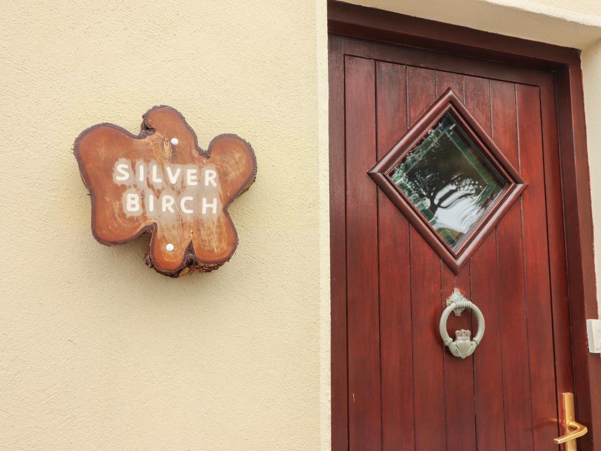 Silver Birch Cuar an Chláir Екстериор снимка